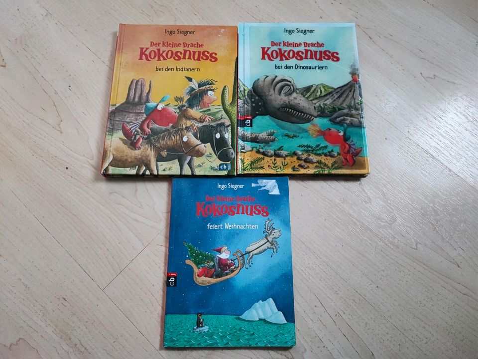Kinderbuch Der kleine Drache Kokosnuss in Dresden