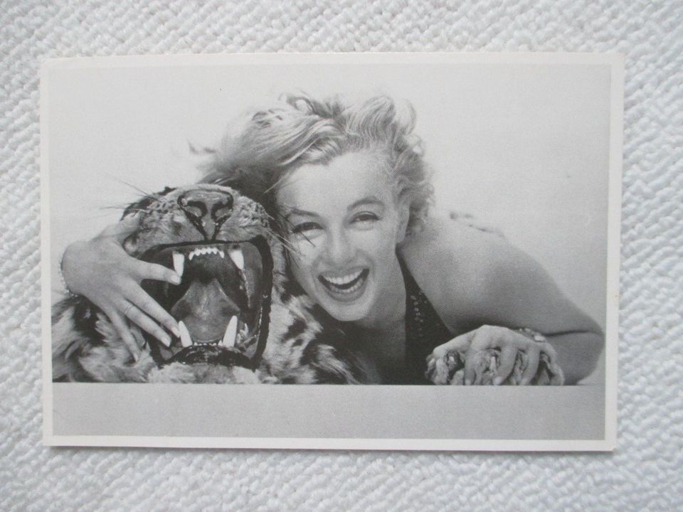 Postkarten Marilyn Monroe; ungelaufen in Olching