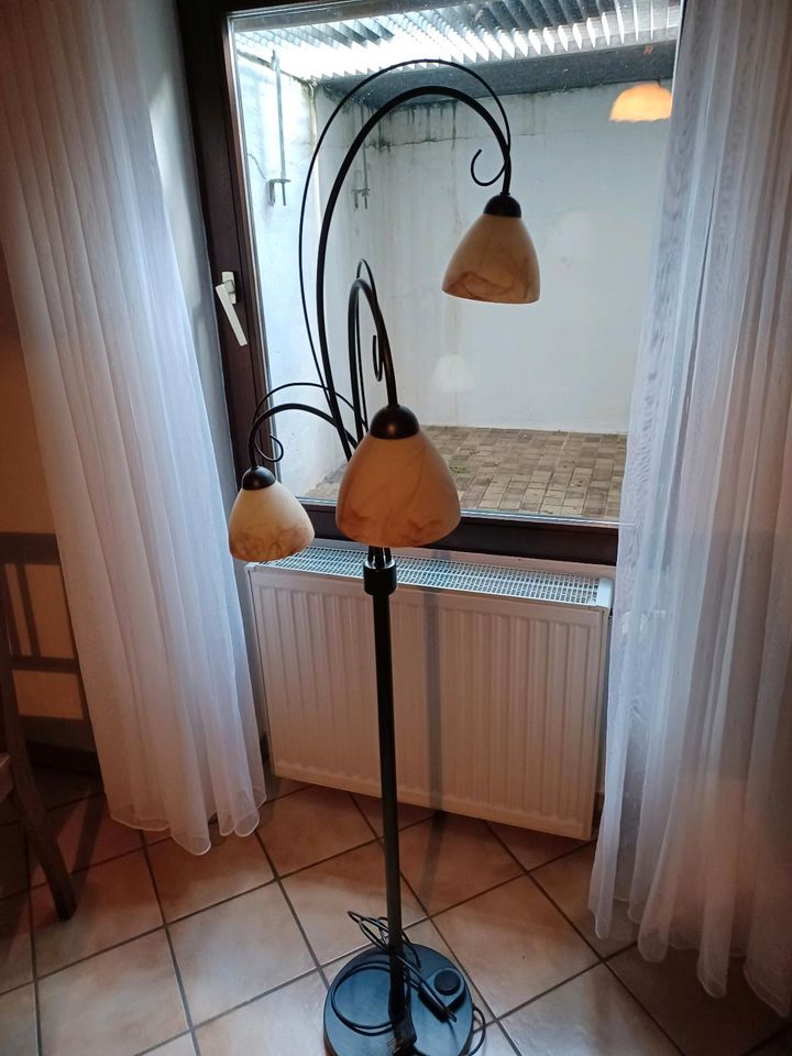 Stehlampe mit Glasschirm in Neckarsteinach