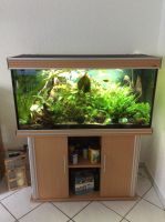 Aquarium  Aqua One Bayern - Niederschönenfeld Vorschau