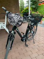 E Bike Pegasus  E 8 R Nordrhein-Westfalen - Sassenberg Vorschau