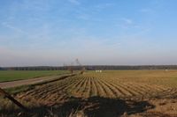 5 Ackerlandflächen, die sich in der Umgebung von Aken und Reppichau im Osternienburger Land befinden Sachsen-Anhalt - Aken Vorschau