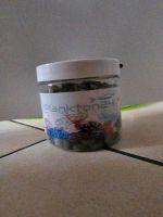 Plankton24 - Spirulina Tabs - Algen für Meerwasserfische Scheibe Baden-Württemberg - Fichtenberg Vorschau