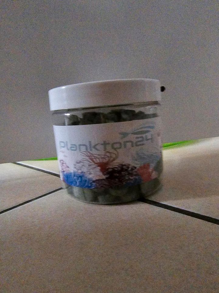 Plankton24 - Spirulina Tabs - Algen für Meerwasserfische Scheibe in Fichtenberg