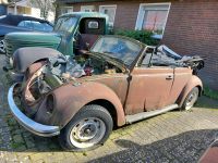 VW Käfer Cabrio als Teileträger / Vollrestauration Niedersachsen - Osnabrück Vorschau