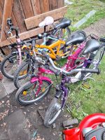 4 Kinder Fahrräder Niedersachsen - Holzminden Vorschau