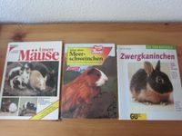 Zwergkaninchen, Mäuse, Meerschweinchen Dresden - Dresden-Plauen Vorschau