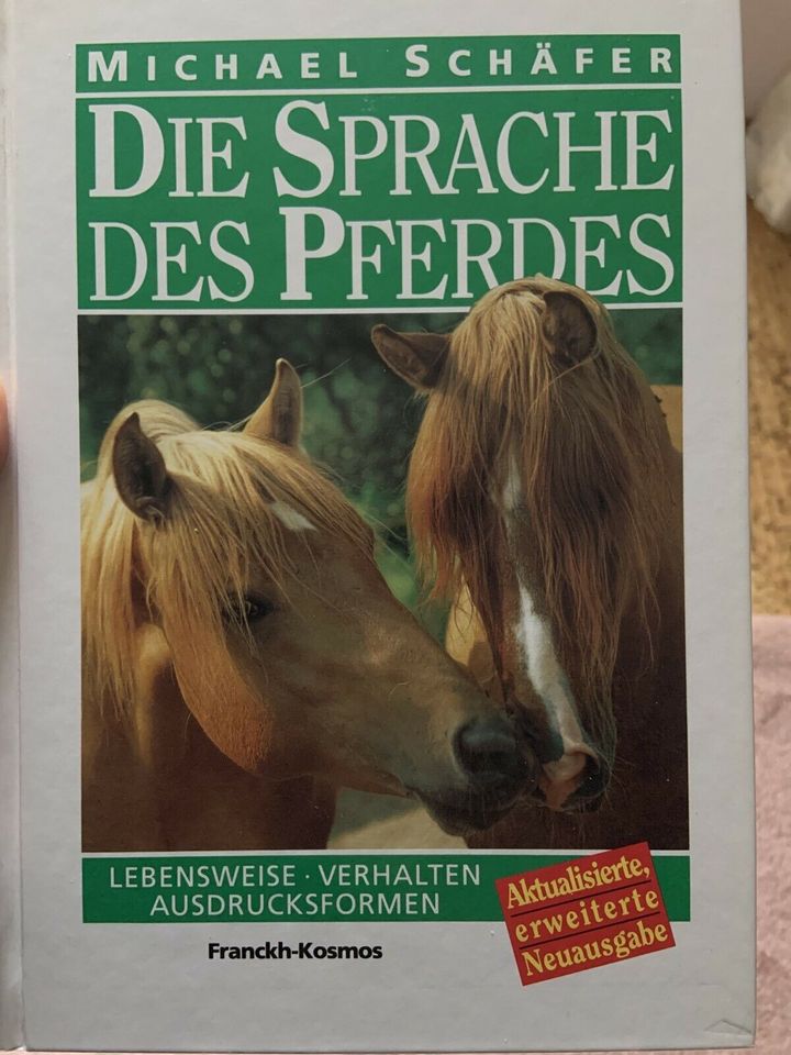 Schäfer - Die Sprache des Pferdes in Husum