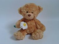 Flauschiger Teddybär mit Blume - Kuscheltier - Spielzeug - Plüsch Bochum - Bochum-Süd Vorschau