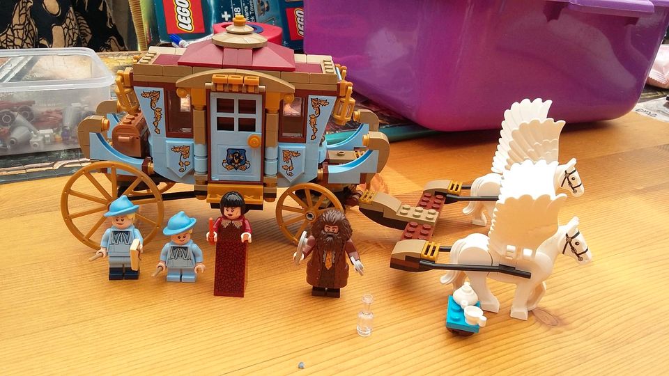 Lego Harry Potter 75958 Kutsche von Beauxbatons mit OVP in Langgöns