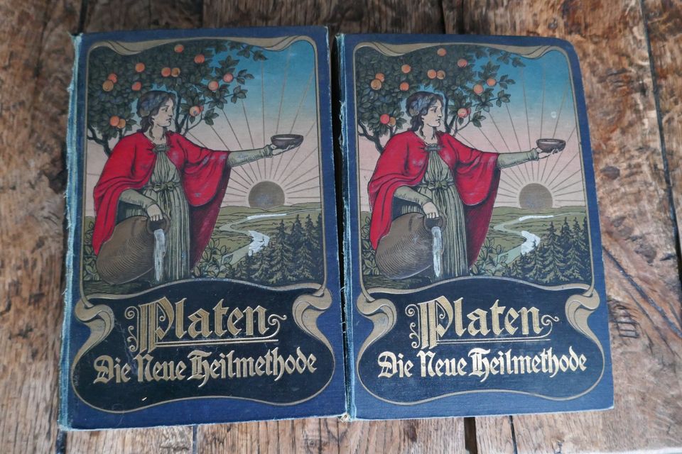 Bücher;Die Neue Heilmethode M. Platen 1899 Antik in Castrop-Rauxel