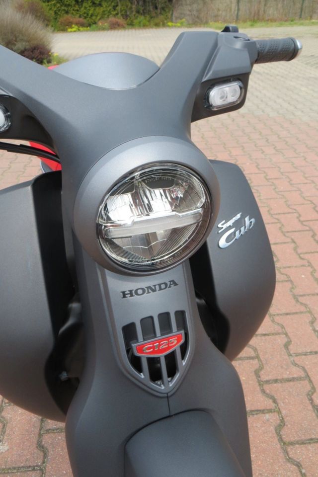 Honda Super Cub C125 - Neu  ab 49,- € monatlich in Strausberg