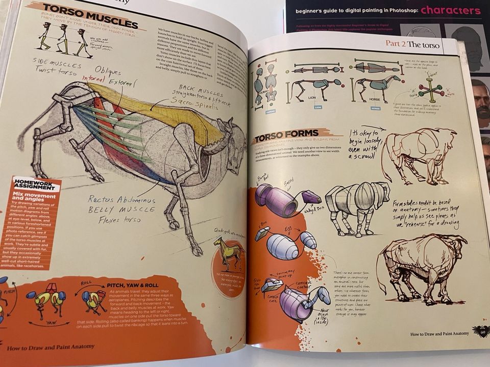 2-er Set Zeichenbücher: Digital Characters + Anatomy , wie neu ! in Aachen