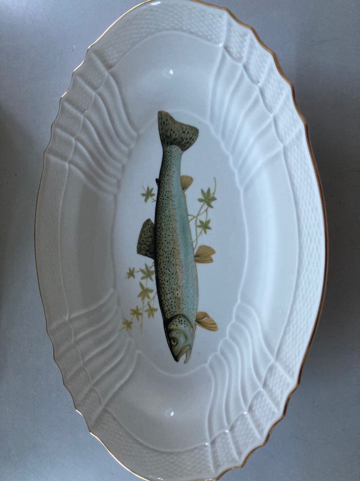 Letztes AB: Rarität Fischplatte Richard Ginori - Goldrand, 40cm in Kiel