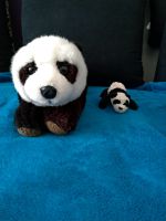 2 Pandabären (Groß und klein) Baden-Württemberg - Schwaikheim Vorschau