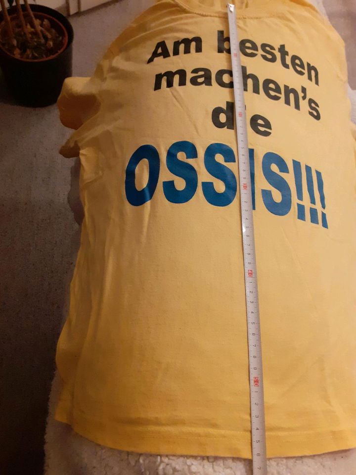 Am besten machen's die Ossis TSHIRT T-Shirts in Dresden