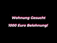 1000 Euro Belohnung bei Wohnungsvermittlung Niedersachsen - Osnabrück Vorschau