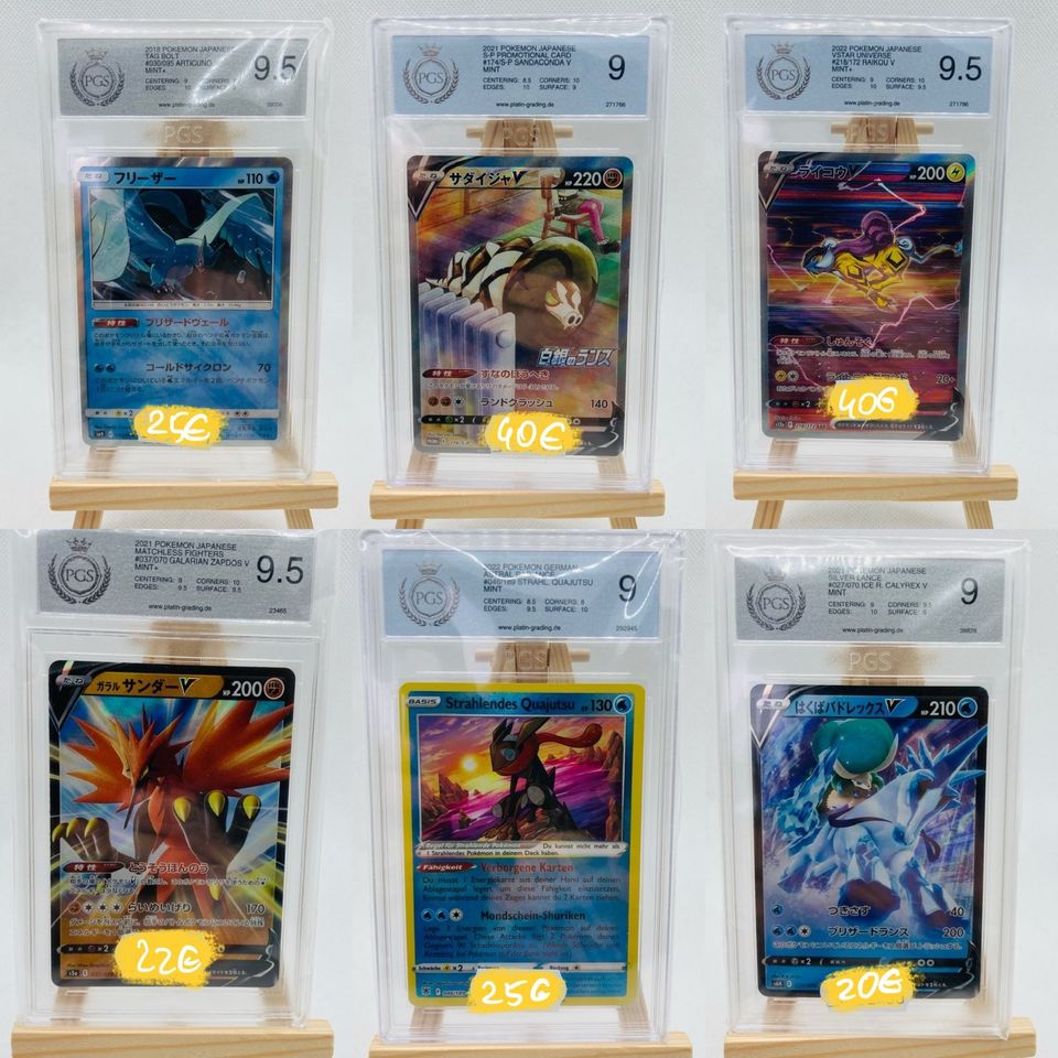 PSA 10 Pokemon Karten Sammlung, PSA, Glumanda, Glurak, Schiggy in Potsdam