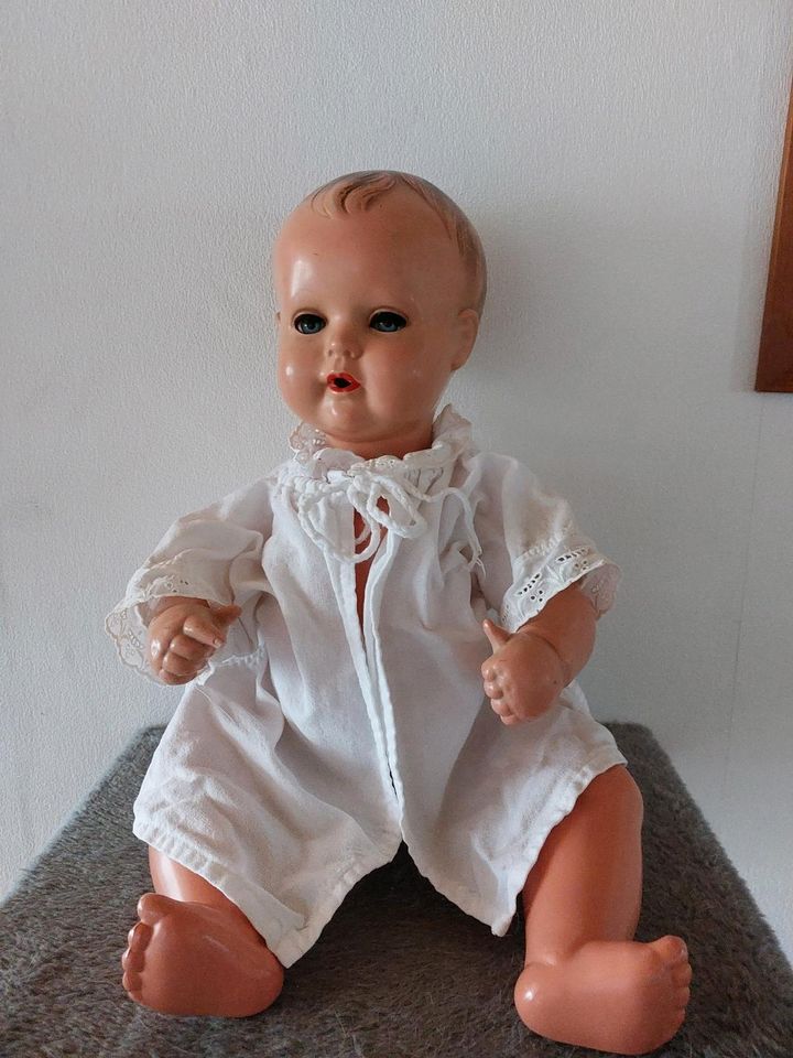 Schildkröt Puppe Nr. 50 in Oldenburg