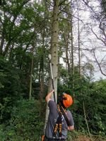 Baum - / Heckenpflege oder Fällung und Entfernung Nordrhein-Westfalen - Bedburg Vorschau