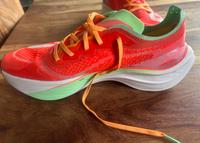 KIPRUN Laufschuhe 44,5 Decathlon 1  x getragen Schleswig-Holstein - Glückstadt Vorschau