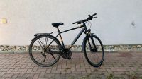 Trekkingbike 2RManufaktur TRS 30 Herren Bayern - Eisingen Vorschau