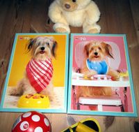 Zwei ganz süße Kuschelhunde Puzzle +Teddy+Ball neu+Kinderfernglas Kreis Ostholstein - Scharbeutz Vorschau