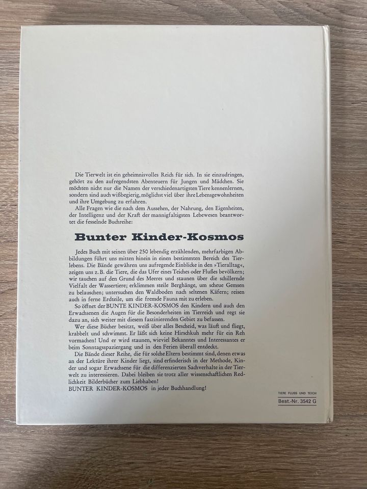 Bunter Kinder-Kosmos in Kassel