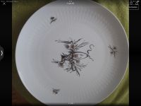 Kuchenteller & Vase Rosenthal Set Vintage Nordrhein-Westfalen - Krefeld Vorschau