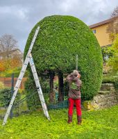 ❌ Gartenpflege Landschaftspflege Heckenschnitt Gartenbau Thüringen - Suhl Vorschau