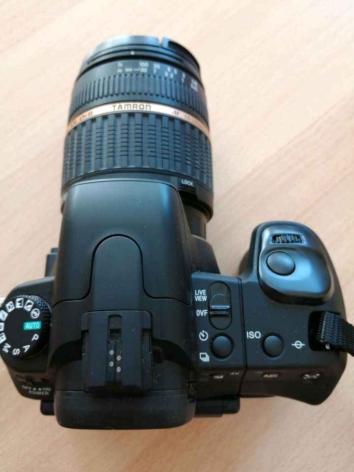 Sony alpha 300 Spiegelreflexkamera inkl. Objektiv in Rostock