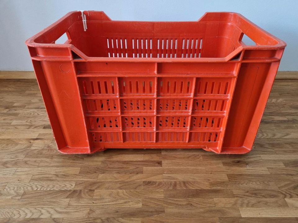 Obst & Gemüse-Kiste 53x35x31cm Transportbox Gartenbox Aufbewahrun in Frankfurt am Main