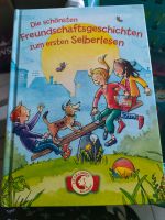 Leselöwen lesen lernen Sachsen - Löbau Vorschau