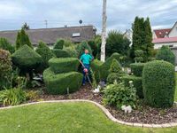 Gartenbau Gartenpflege Hecke schneiden ✅ Gartengestaltung✅ uvm.✅ Bayern - Memmingen Vorschau