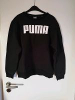 Puma Sweatshirt Pullover schwarz Größe L Bayern - Zapfendorf Vorschau
