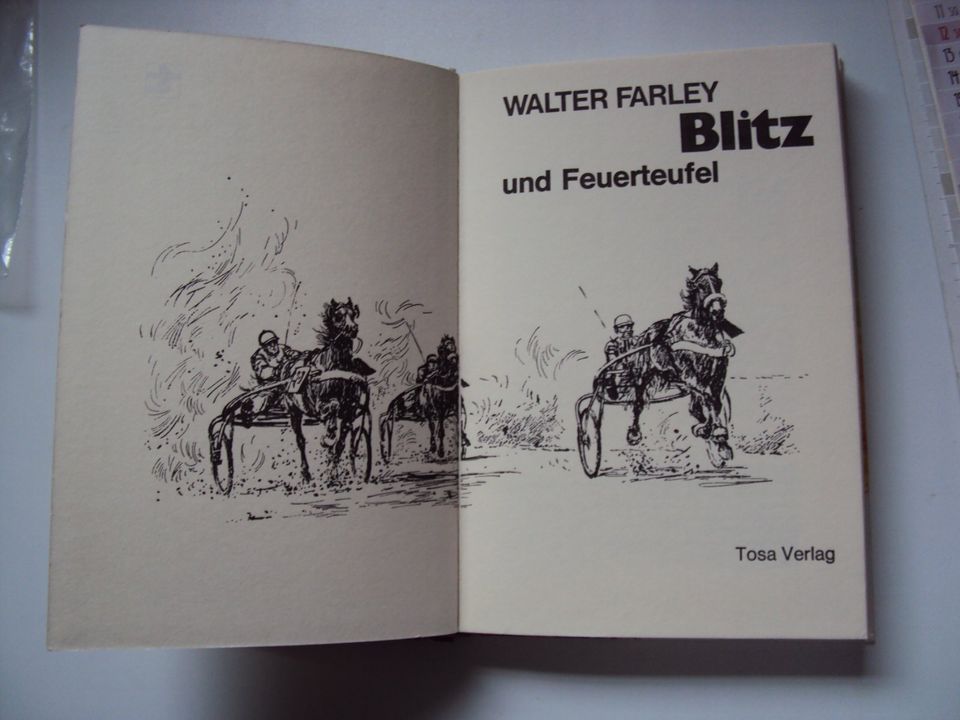 Blitz und der Feuerteufel von Walter Farley in Buesum