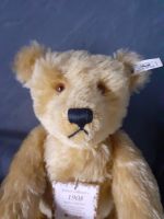 Steiff Teddy Bär Britisch Collector’s Replica von 1908 Hessen - Borken Vorschau