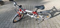 Bergamont Kinderfahrrad 20 Zoll Baden-Württemberg - Steinmauern Vorschau