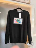 Longshirt Pullover Brandenburg - Cottbus Vorschau