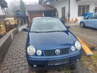 VW Polo 1.2 Bayern - Hindelang Vorschau
