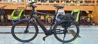 Giant DailyTour E+ 2 Gr. XL Gebraucht 517KM E-Bike Baden-Württemberg - Bad Wildbad Vorschau