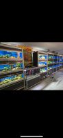 Verkaufsanlqge Aquarien zuchtanlage Saarland - Illingen Vorschau
