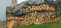 Brennholz gem. 1 Meter Rundholz ca 7 Ster Kr. Altötting - Marktl Vorschau
