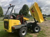 Wacker Raddumper DW50-2 Neu Schleswig-Holstein - Nortorf Vorschau