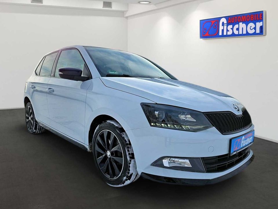 Skoda Fabia 1.0 TSI Monte Carlo Green tec SmartLink So in Wolfsburg