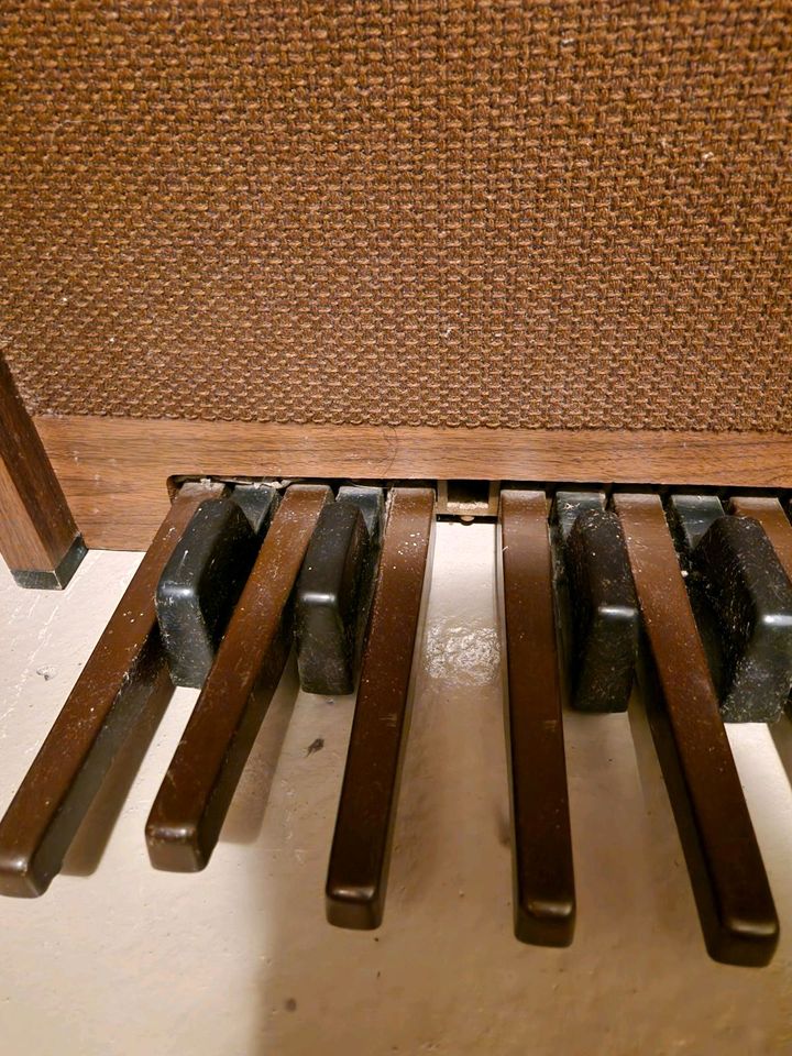 Orgel Antonelli in Waldachtal