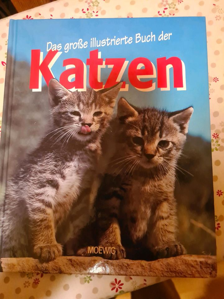 Katzenbuch in Eisenach