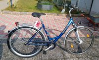 28" Damenfahrrad 7 Gang Nabenschaltung Nabendynamo Brandenburg - Templin Vorschau