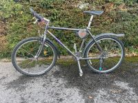Trek Singletrack 26“ Mountainbike Vintage Bike Kr. München - Neuried Kr München Vorschau