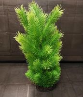 ORBIT, Kunstpflanze,Deluxe,30cm,Aquariumpflanze,Deko Niedersachsen - Langwedel Vorschau